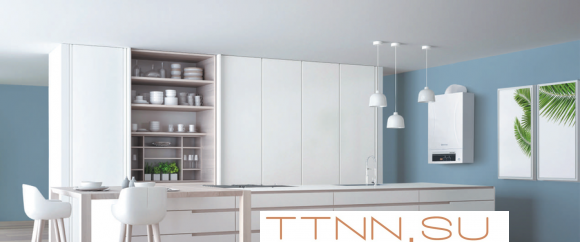 Настенный газовый котел Thermex Andromeda HM28 Настенный газовый котел Thermex Andromeda HM28