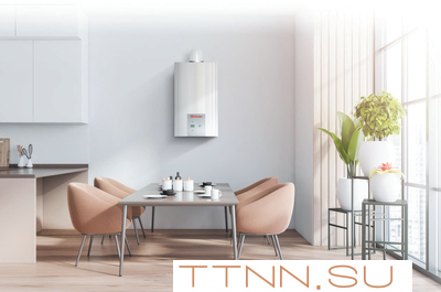 Настенный газовый котел Thermex EuroElite F10