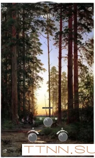 Газовый проточный водонагреватель Vatti LR20-EGE Панель D