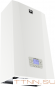 Настенный газовый котел Лемакс PRIME-V55 НО